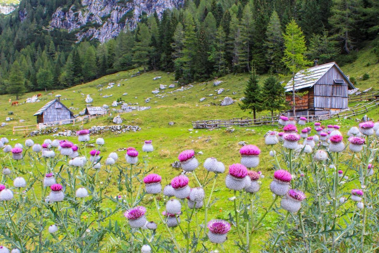 Cottage House Podgosar Bled Pokljuka Bagian luar foto